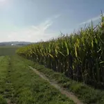 Peaceful Forest Getaway Altenfeld