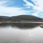 Peaceful Forest Getaway