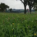 Nyaraló Peaceful Forest Getaway *