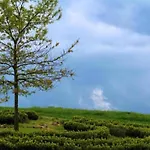 Peaceful Forest Getaway *