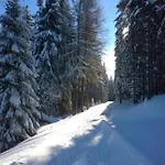 Peaceful Forest Getaway * Altenfeld