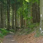 Peaceful Forest Getaway *