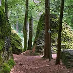 Peaceful Forest Getaway Altenfeld