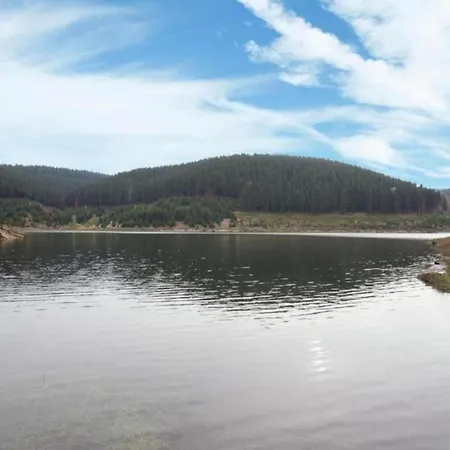 Peaceful Forest Getaway