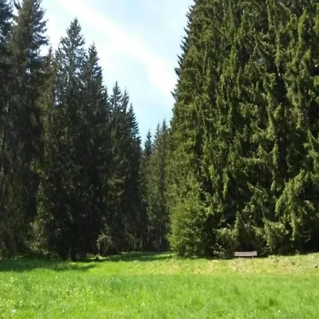 Nyaraló Peaceful Forest Getaway
