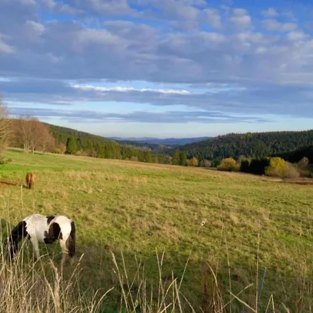 Peaceful Forest Getaway 度假居 *