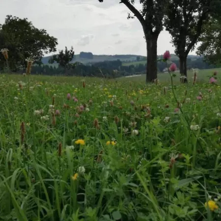 Prázdninový dům In The Thuringian Forest *