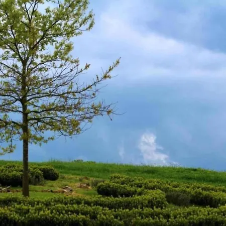 Peaceful Forest Getaway *