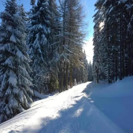 Peaceful Forest Getaway * Altenfeld