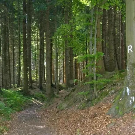 In The Thuringian Forest *
