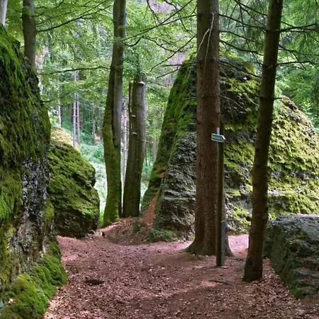 Peaceful Forest Getaway Altenfeld