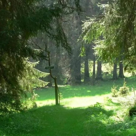 Nyaraló Peaceful Forest Getaway