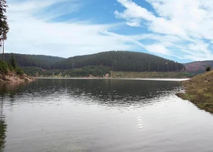 Peaceful Forest Getaway