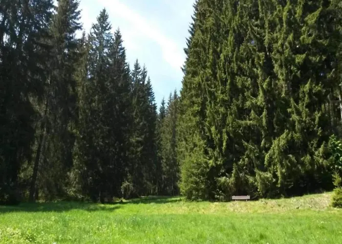 Nyaraló Peaceful Forest Getaway