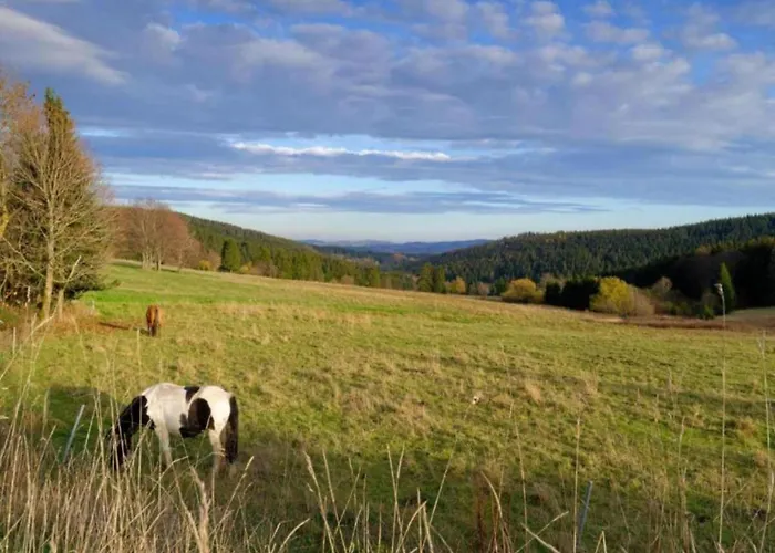 Peaceful Forest Getaway Nyaraló *