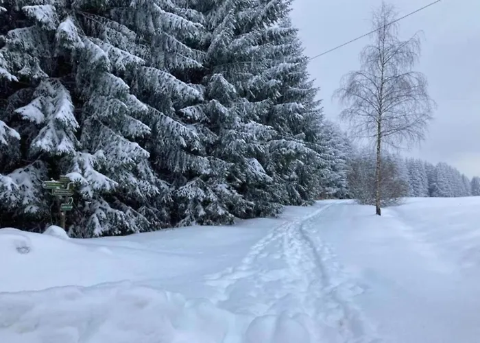 Peaceful Forest Getaway Nyaraló