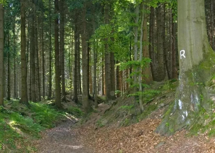 Peaceful Forest Getaway *