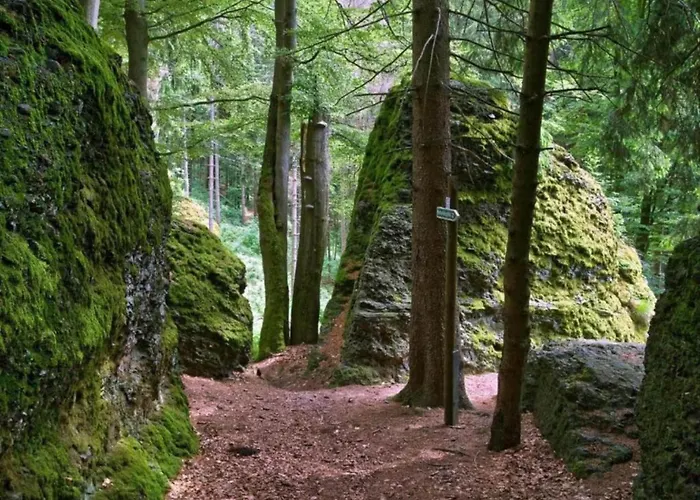 Peaceful Forest Getaway Altenfeld