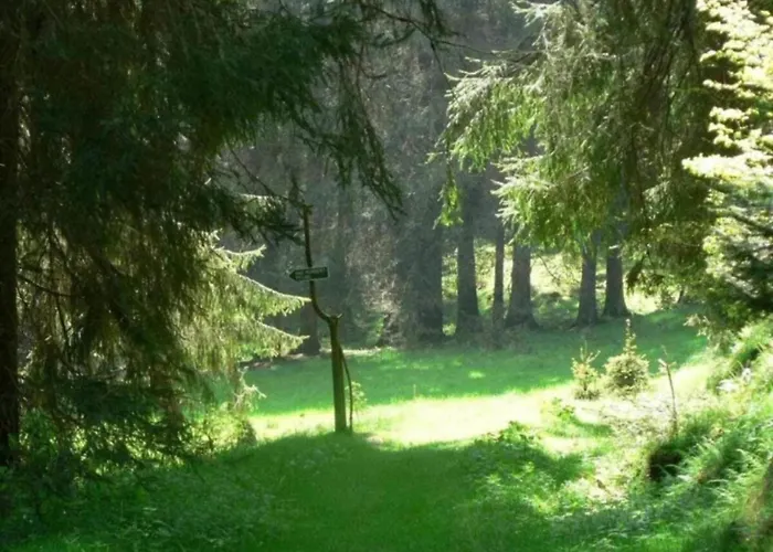 Nyaraló Peaceful Forest Getaway